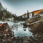 喵咪社区 w1pss8wq