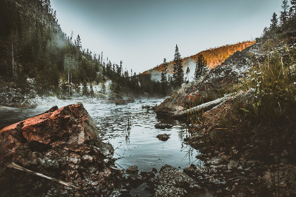 喵咪社区 喵咪社区