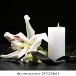 182tv大蕉蕉人人 z5rijx7