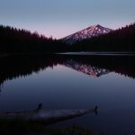 奇漫屋画:畅享免费漫画的下拉菜单功能 8m8ediwbu